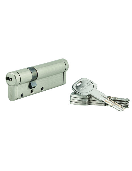 THIRARD - Cylindre de serrure Trafic 12  30x65mm  nickel  anti-arrachement  anti-perçage  anti-casse  5 clés
