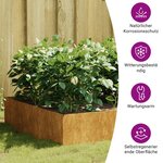 vidaXL Lit surélevé de jardin 100x100x41 cm acier corten
