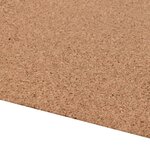 vidaXL Rouleau de liège 100x800 cm 2 mm