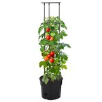 vidaXL Jardinière à tomate Anthracite Ø29 5x115 cm Polypropylène