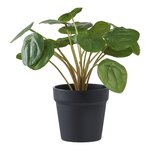 Plante artificielle Pilea plante à monnaie chinoise verte 28 cm