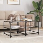 vidaXL Tables basses avec dessus en verre noir 2 Pièces 50x50x45 cm acier