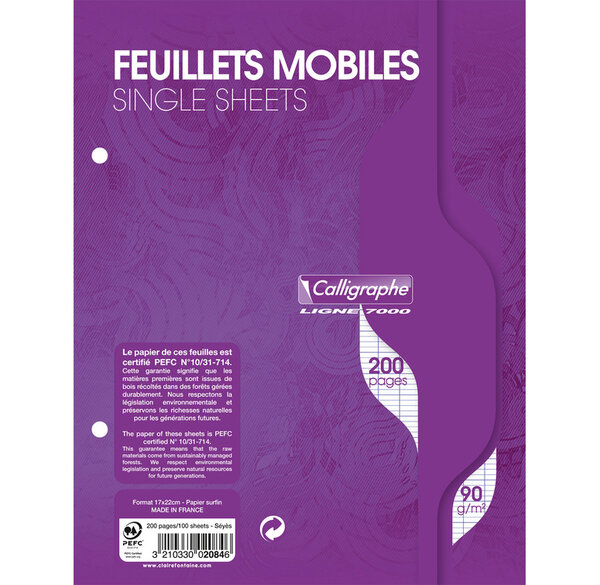 pack de 100 Feuillets mobiles s/film 17x22 200 pages Grands carreaux séyès 90g CALLIGRAPHE