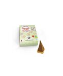 40 pyramides d'encens anti-moustiques 30 min