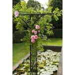 Nature Arche de jardin Métal 114x66x232 cm Noir