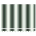 vidaXL Store rétractable automatique vert et blanc 300x250 cm
