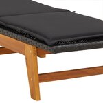 vidaXL Chaises longues et coussins lot de 2 Résine tressée et acacia