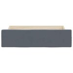 vidaXL Tiroirs de rangement dessous de lit 2 Pièces gris foncé