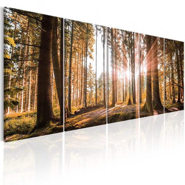 Tableau - beauty of nature l x h en cm 225x90