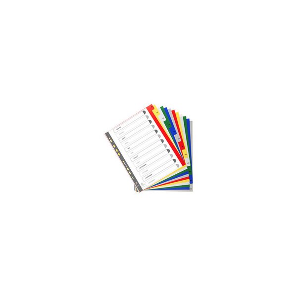 Intercalaires mensuels maxi A4+ en polypropylène, 12 divisions - Assortis