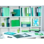 Chemise À Élastiques 3 Rabats Maxi Capacity Carte Lustrée Pelliculée 425gm2 Iderama A4 - Vert Anis - X 25 - Exacompta