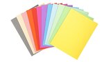 Paquet de 100 chemises Forever® 220 100% recyclé 24x32cm Assorties EXACOMPTA