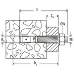 Fischer ensemble d'ancrage à boulon fbn ii 12/50 20 pcs