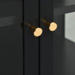 vidaXL Buffet Noir 105x35x70 cm Acier et verre