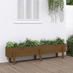 vidaXL Lit surélevé de jardin marron miel 160x30x38 bois de pin massif