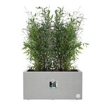 Bac à fleurs - Gris - 59 x 30 x 29 cm - 100  recyclé