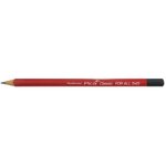 Pica crayons universels classic for all 545 10 pièces 23 cm
