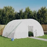 vidaXL Serre avec cadre en acier blanc 24 m² 6x4x2 85 m