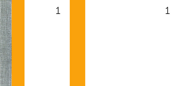 Lot de 10 Bloc vendeur 100 feuillets 60 x 135 mm Orange ELVE