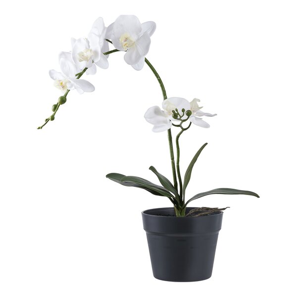 Plante artificielle Orchidée verte et blanche 49 cm