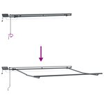 vidaXL Auvent Rétractable Manuel avec LED Noir 350x250 cm