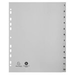 Intercalaires Imprimés Numériques Pp Recyclé Gris 12 Positions - A4 Maxi - Gris - X 10 - Exacompta