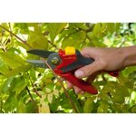OUTILS WOLF Sécateur OF200 Confort - Coupe enclume 25 mm - Taille M - Neoflex