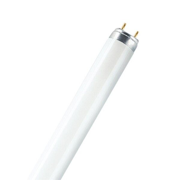 Tube fluorescent 26 mm lumilux t8 g13 58w 6500°k 1500 mm