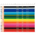 Etui carton de 18 crayons de couleur ECO KIDS EVOLUTION 18 Couleurs BIC