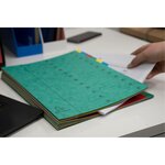 Trieur Extensible Harmonika Sans Élastique Fenêtres Imprimées 24 Compartiments - A4 - Vert - X 4 - Exacompta