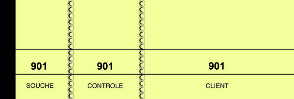 Lot de 10 Bloc passe-partout 100 feuillets JAUNE 50X150 ELVE