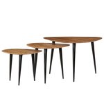 vidaXL Tables basses 3 Pièces Bois d'acacia massif
