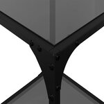 vidaXL Table basse avec dessus en verre noir 30x30x40 cm acier