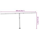 vidaXL Jeu de poteaux d'auvent anthracite 600x245 cm fer