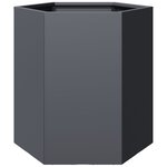 vidaXL Jardinières 2 Pièces anthracite hexagone 46x40x45 cm acier