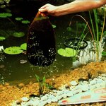 Ubbink Tourbe pour bassin de jardin Aquavital 10 L