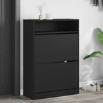 vidaXL Armoire à chaussures 2 tiroirs rabattables noir 80x34x116 cm