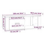 vidaXL Table basse Noir 100x50 5x35 cm Bois d'ingénierie