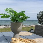 House Nordic Pot de fleurs Maaike Sable