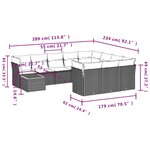 vidaXL Salon de jardin 11 Pièces avec coussins noir résine tressée