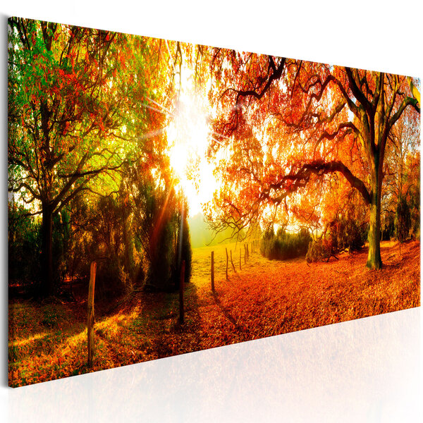Tableau - magic of autumn l x h en cm 150x50