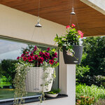 LECHUZA Jardinière suspendue NIDO Cottage 35 ALL-IN-ONE Granite