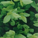 vidaXL Écran d'intimité de jardin PVC 35x0 19 m Vert