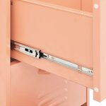 vidaXL Armoire de rangement Rose 42 5x35x101 5 cm Acier