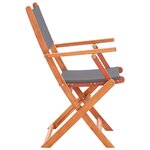 vidaXL Chaises pliables de jardin lot de 2 Gris Eucalyptus textilène