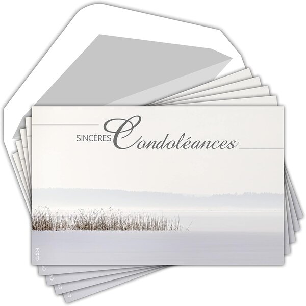 Lot 5 cartes remerciements condoléances +5 enveloppes blanches format 9x14cm