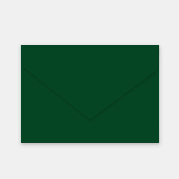 Lot de 50 enveloppes 165x215 mm vélin vert cactus