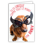 Carte Bon Anniversaire Humoristique avec Enveloppe Illustrée format 17 5x12cm Chien Drôle Amusant Rigolo Déguisé avec des Lunettes Papillon pour faire la Fête Création Fabrication française 69-6207