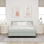 Lit à ressort vidaXL avec matelas Gris clair 160x200 cm Velours