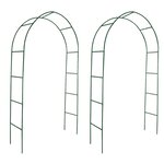 vidaXL Arche de jardin 2 Pièces pour plantes grimpantes